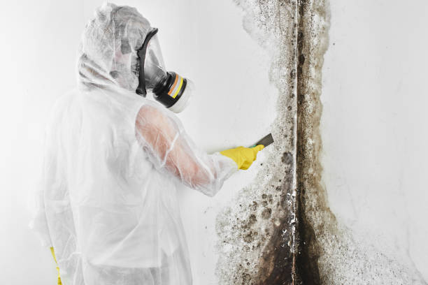 Best Emergency Mold Removal  in Del City, OK