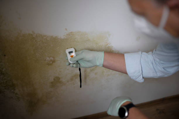 Best Mold Remediation  in Del City, OK