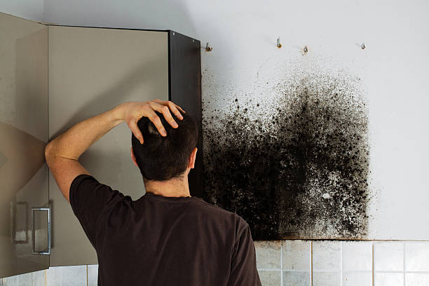 Best Mold Removal Near Me  in Del City, OK