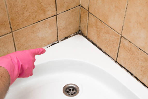 Best Toxic Mold Removal  in Del City, OK